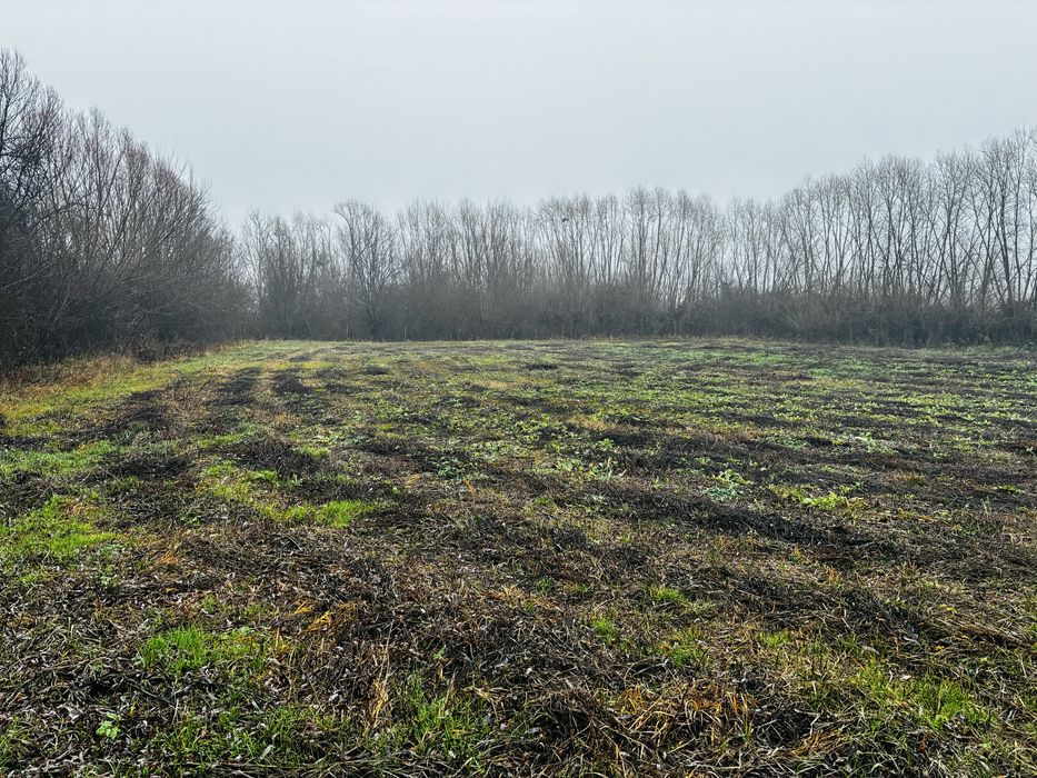 Teren intravilan 2.000 mp – Movila, Niculești, Dâmbovița