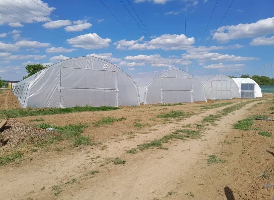 Оранжерийно стопанство
