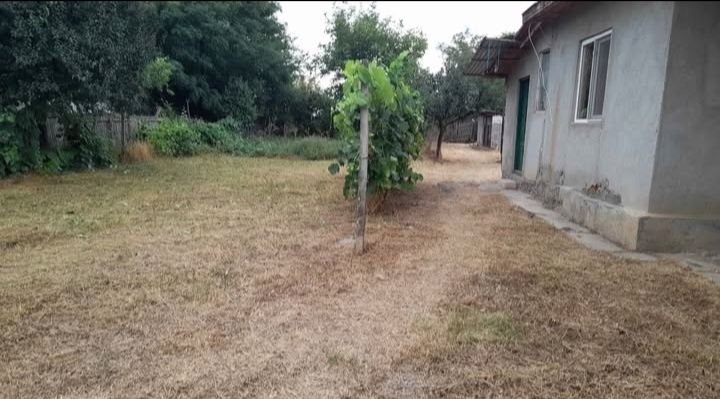 Casa de vanzare Lipanescu Buzău 2500mp