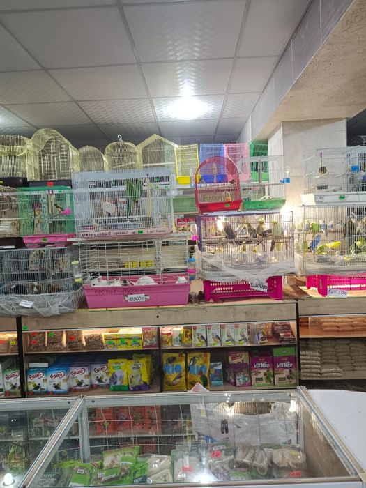 Товары для животных