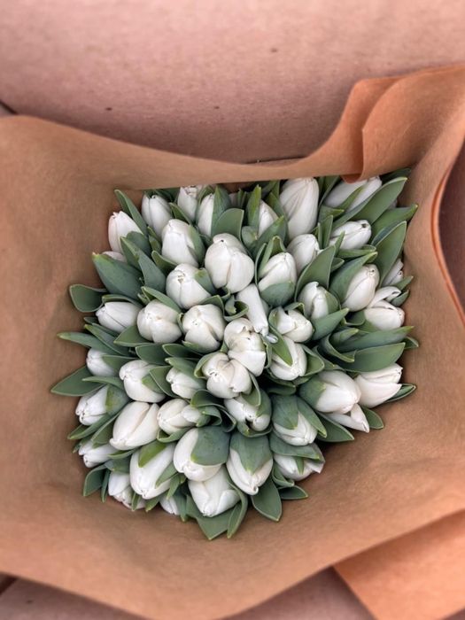 Тюльпаны оптом и в розницу