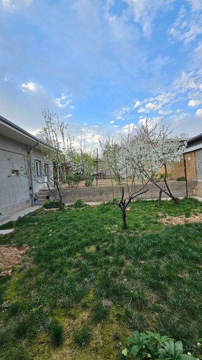 Qibrayda 6,56 sotixli 6 xonali tayyor uy — Toshkentdan 1 km
