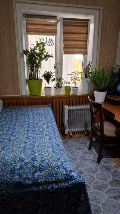 Продаётся квартира своя,Гулистан, Алгоритм 77 серия