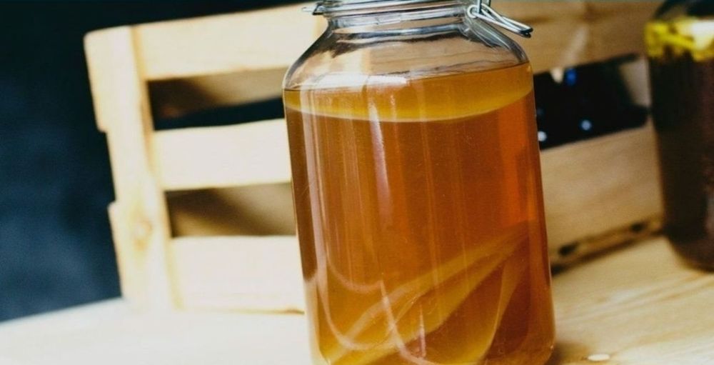 Чайный гриб, комбуча