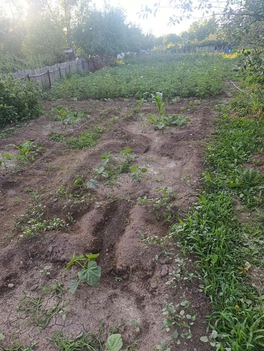 Продам дачу срочно