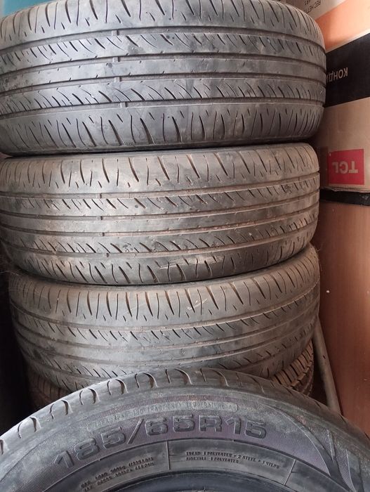 Жазгы  донгелектер