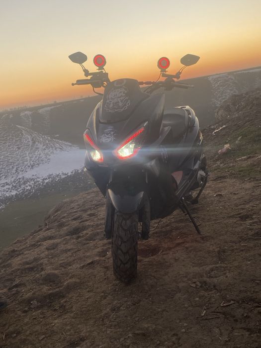 Макси спорт