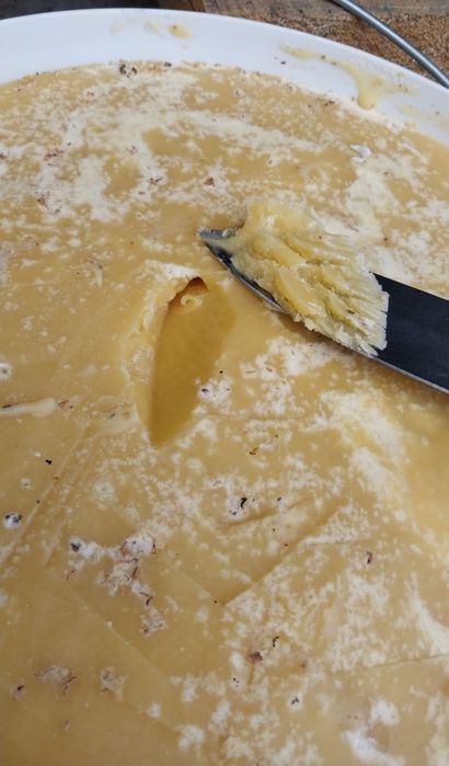 Мед     (2025год)