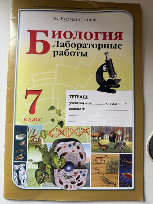 Тетради рабочие для 7 класса