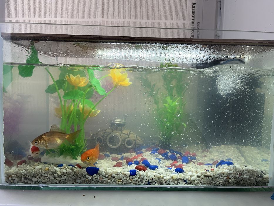 Продам аквариум все в комплекте