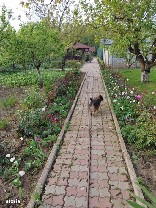 Vilă P+M,teren 1.790 mp,Simeria-zonă rezidențială