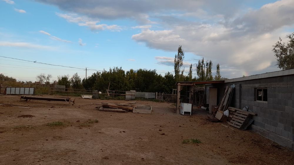 Фазенда сатылады