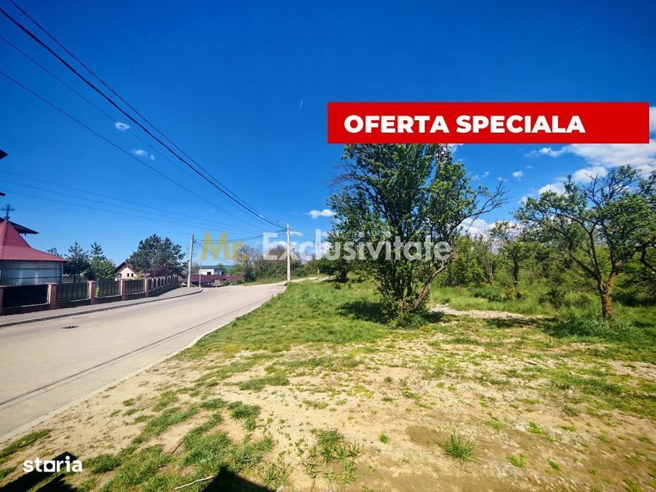 Teren intravilan 2.000 mp in Mioveni – Ideal pentru casa sau investiti