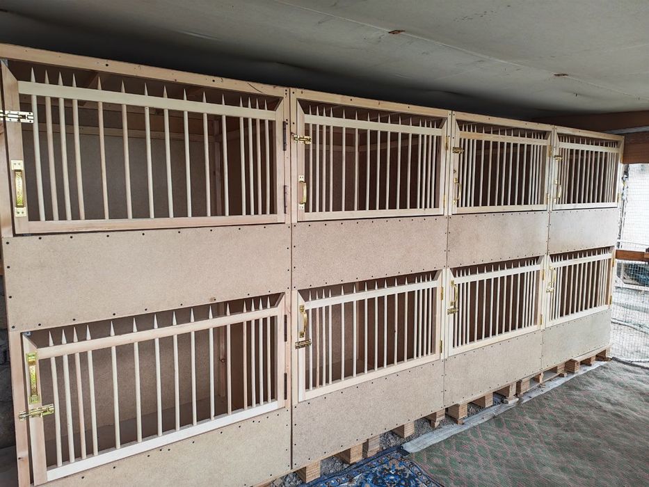 Dakan XO'ROZ uchun kataklar sotiladi