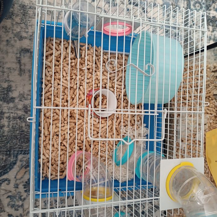 Vans cușcă, accesorii și hamster pitic