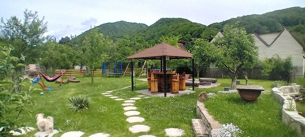 Ofer spre administrare pensiune 10 camere cu multiple dotari Paltinu.