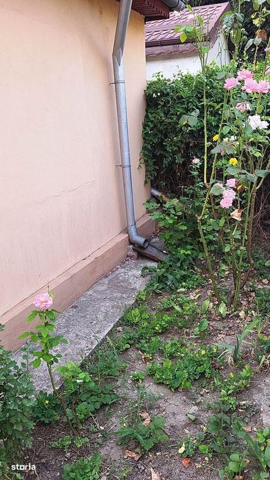 Casa-3 camere în cartierul N.Titulescu, teren 240mp, liberă, utilităţi