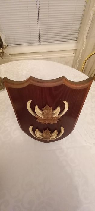 Немски трофеи диво прасе, документ, трофей