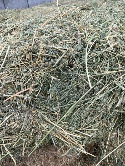 Жоңышқа пресс сатылады