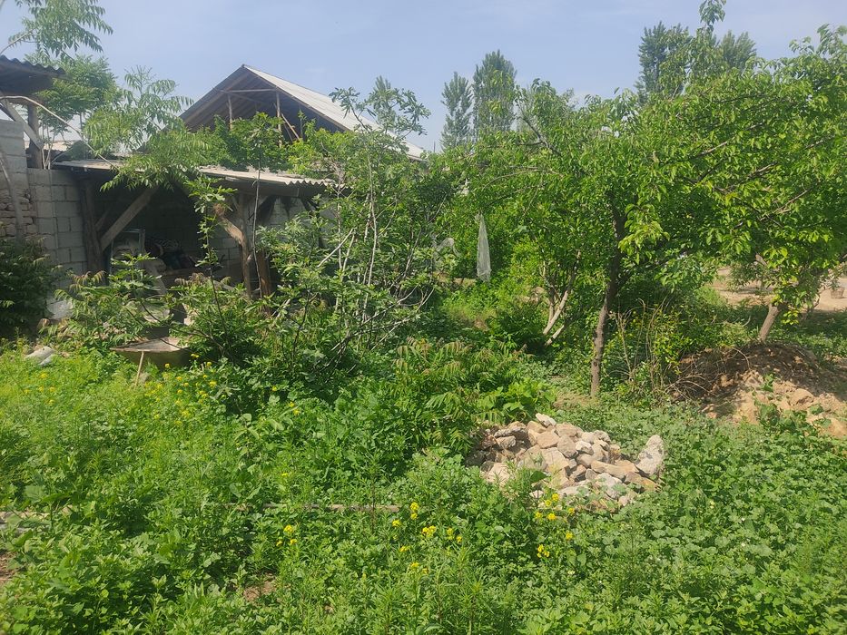 3 Sotik Er Sotiladi Zudlik Bilan Kadastri Bor