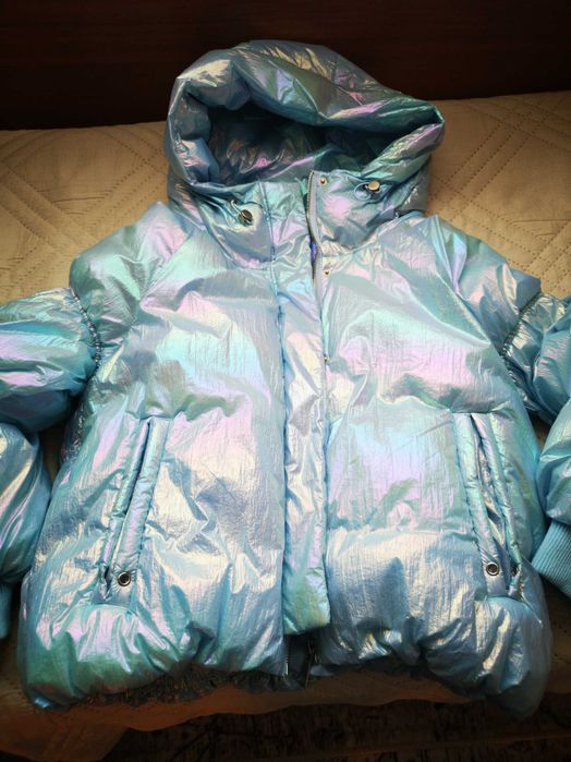 Красиво яке цвят син хамелеон