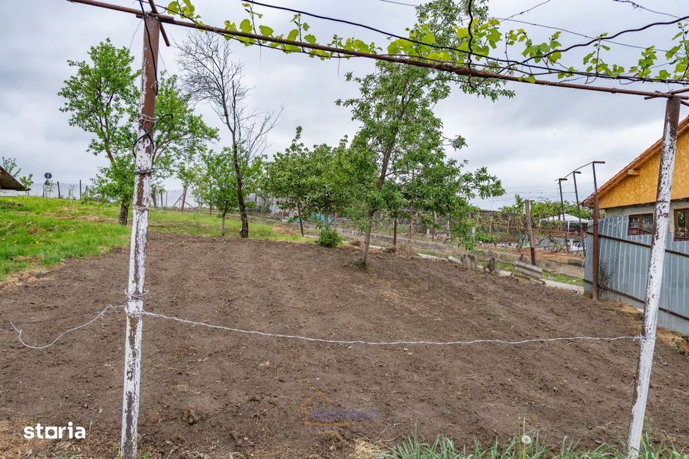 Casa din chirpici, bucatarie de vara si 1.34 ha de teren, Ardeoani