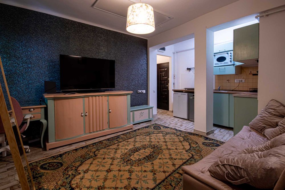 Studio Open-Space | Piata Romana | ASE | Pet Friendly