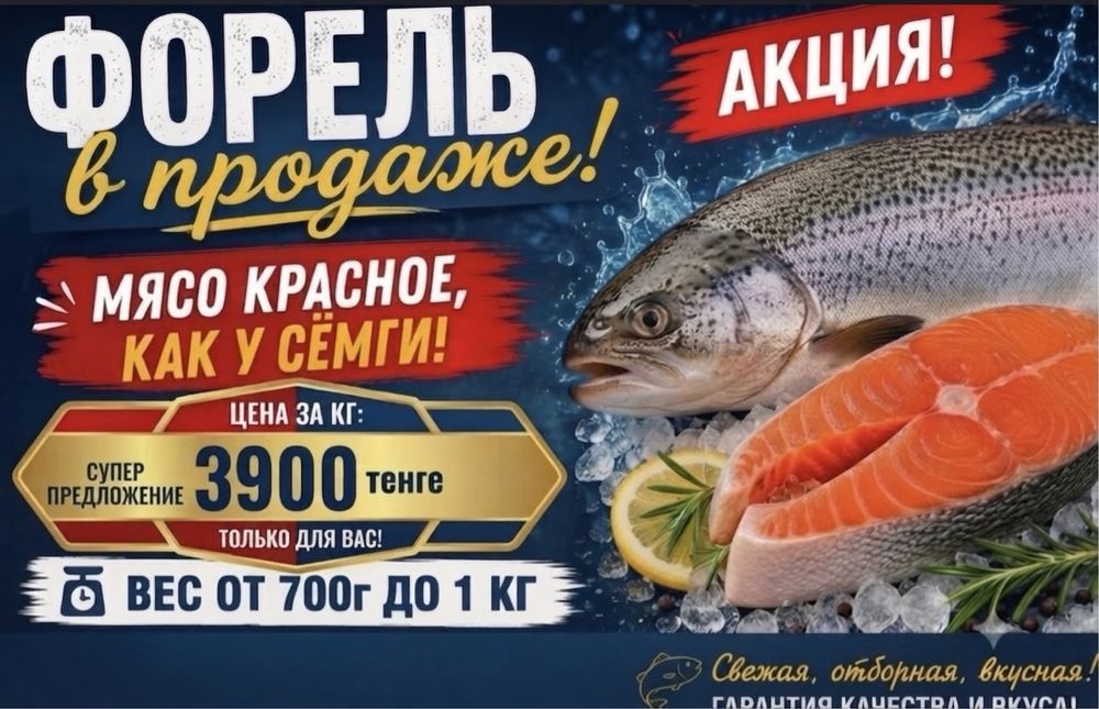 Свежая форель в продаже