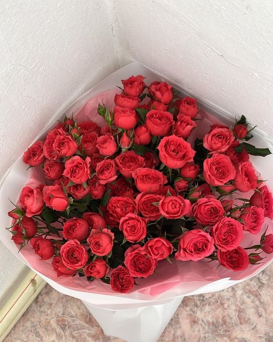 Гүл свежи  әдемі