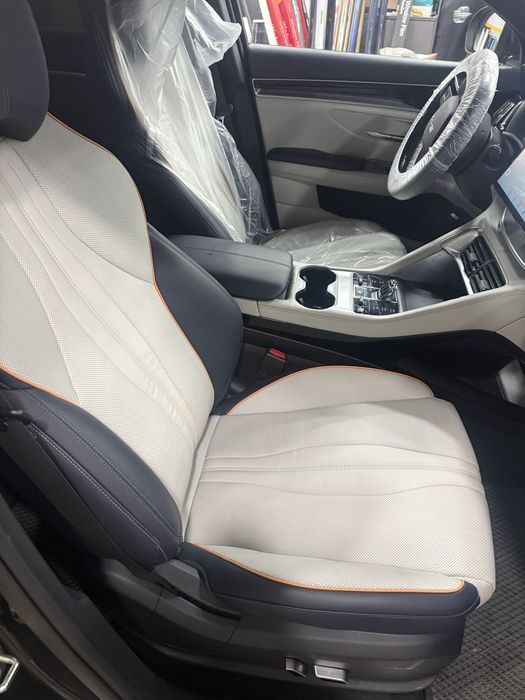 byd chempion 2024
