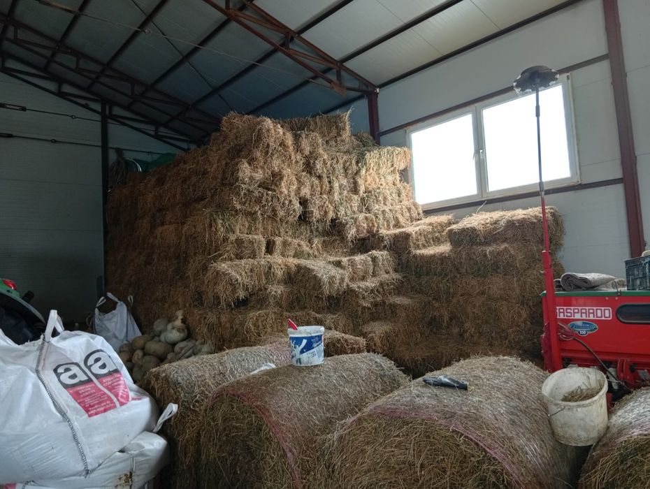 Baloți Lucerna/ Paie orz și paie grâu