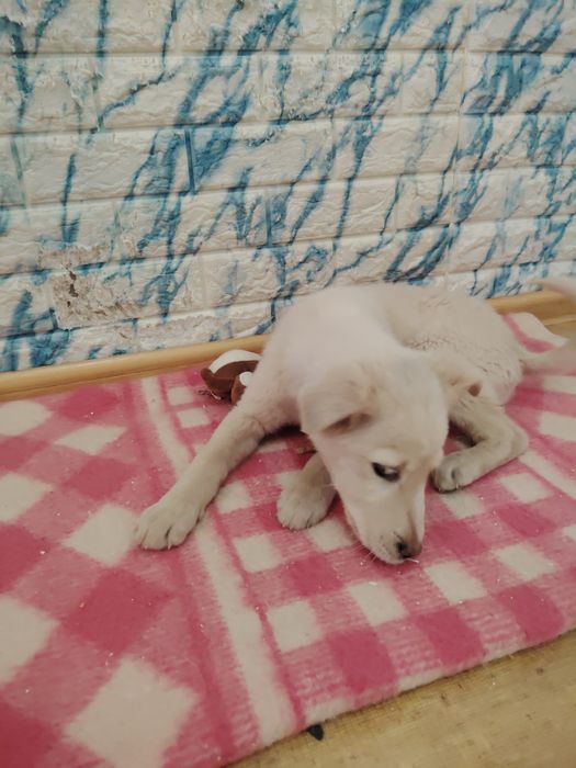 Малыши ждут своих родителей