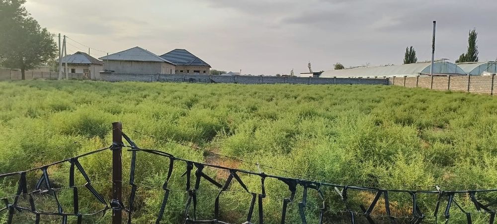 30 сотык участка сатылады