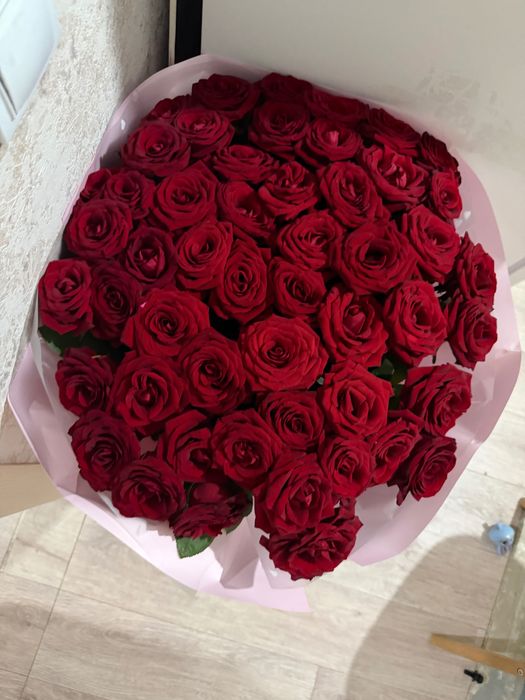 цветы свежие 51 роза