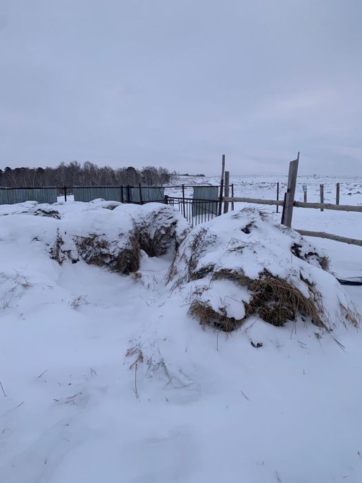 Продам загон для лошадей и прочее под разбор