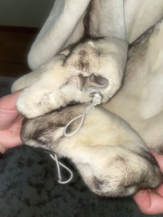 Шуба норковая