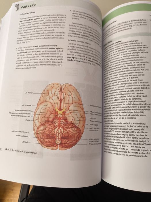 Anatomia lui Gray pentru studenți vol 2