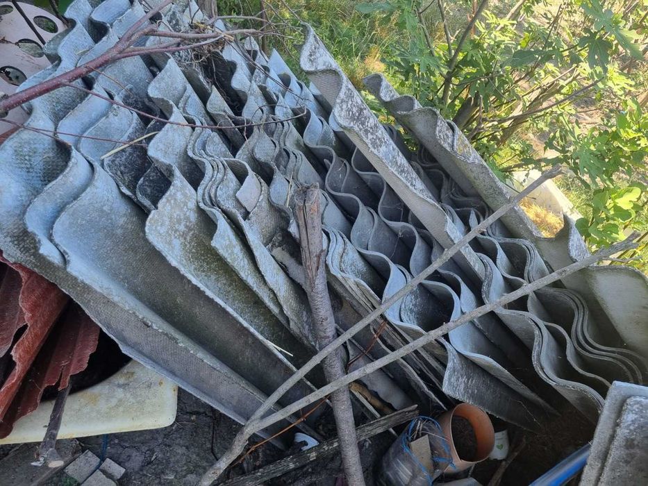 Placi pentru acoperis animale su alte anexe. Gratuit