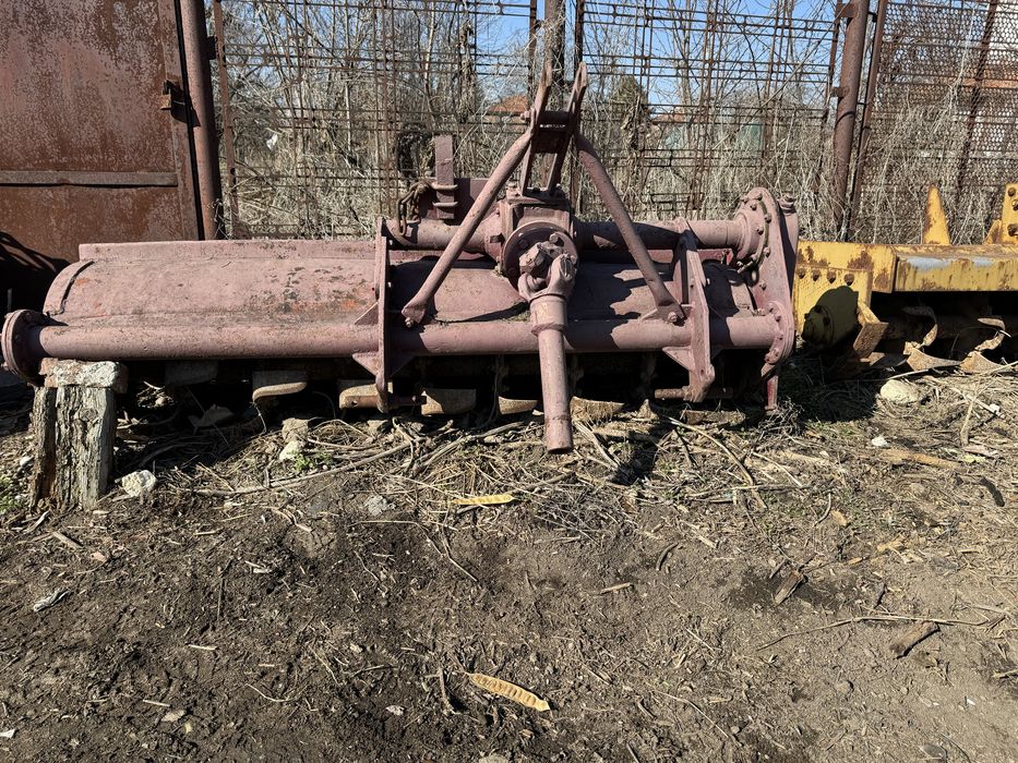 Карловска Фреза  1,60м