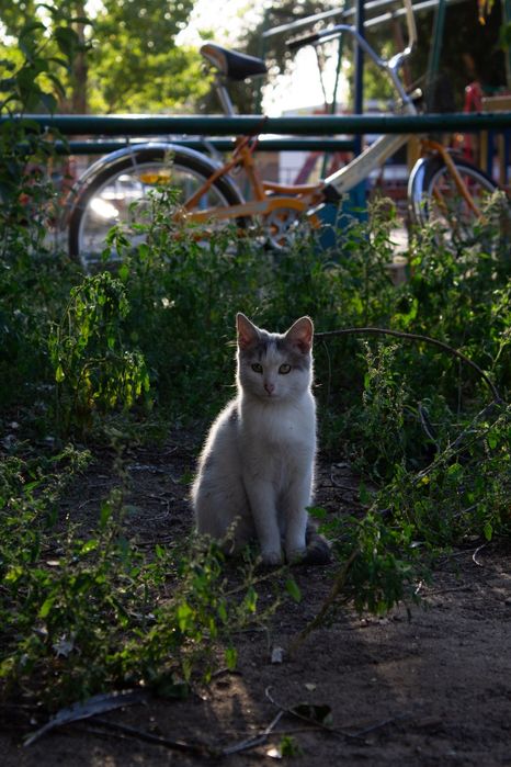 Canon eos 60D в идеальном состоянии