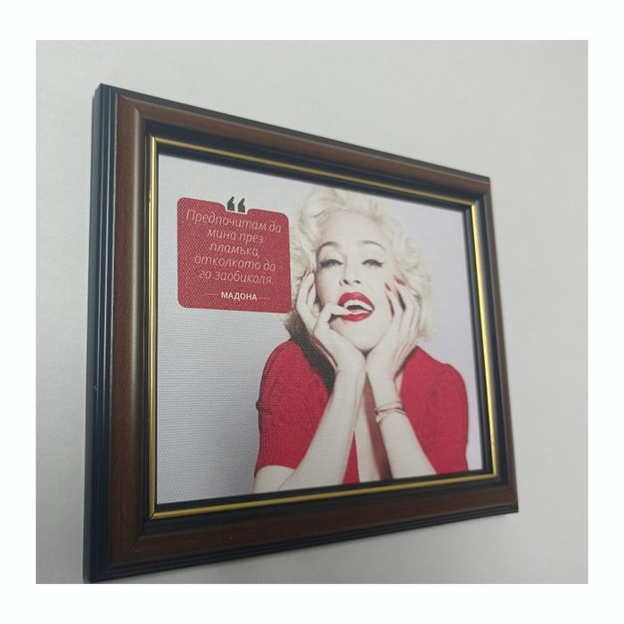 Картина с певицата Мадона