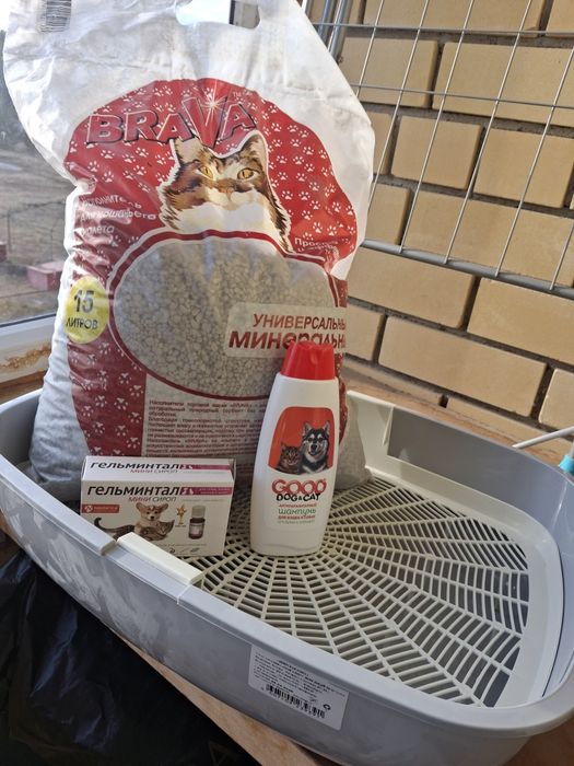 Принадлежности котенка