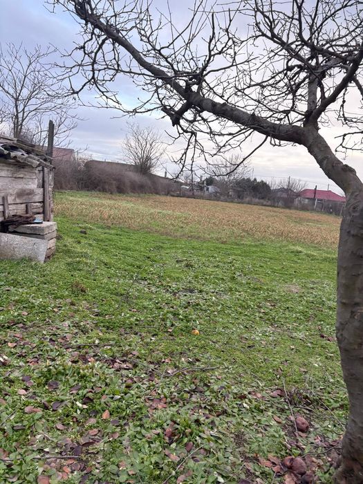 Casa+teren de vanzare Valea Dacilor