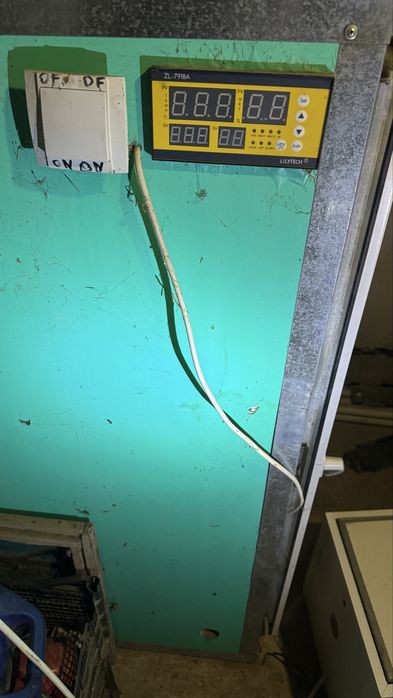 Инкубатор для яйцо