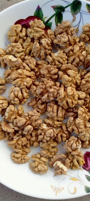 Yongʻoq  magzi opoq