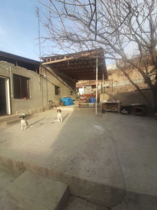 Недвижимость дом