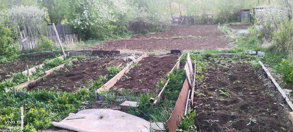 Дача с домиком в обществе природа