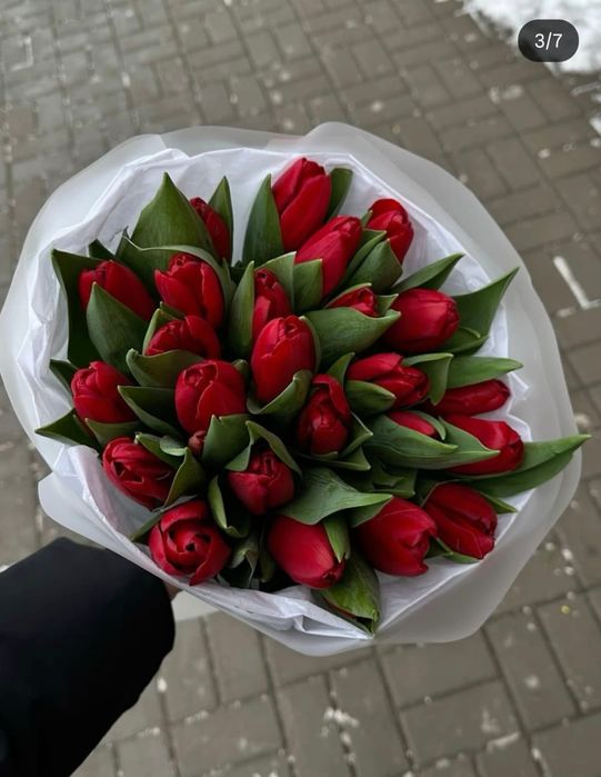 Тюльпаны цветы букет