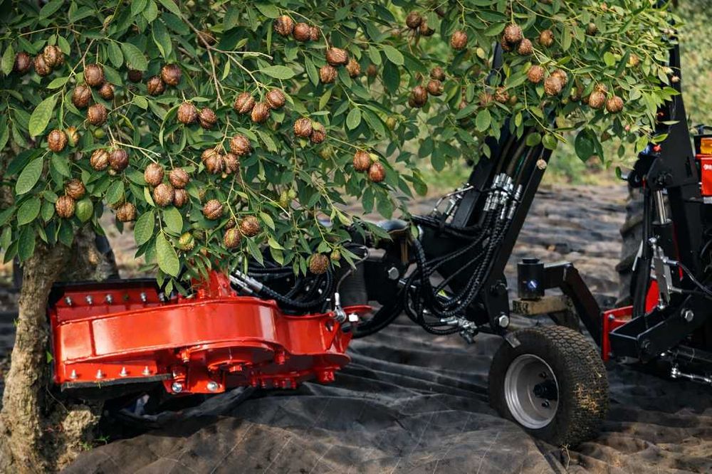 Scuturător cu braț pantograf pentru pomi fructiferi - nuci, alune