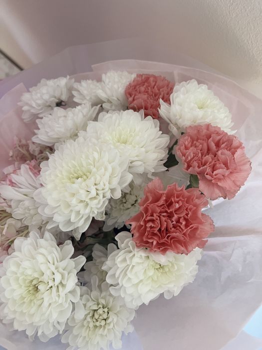 Роза гүл цветы гул